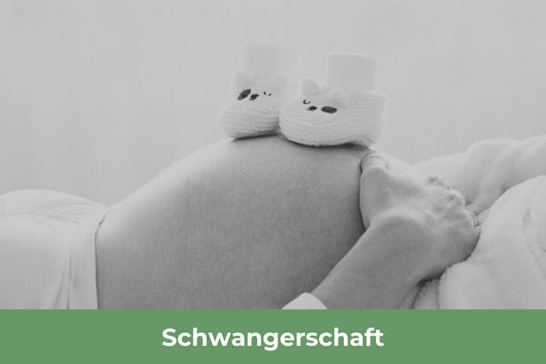 Schwangerschaft Informationen und Antworten